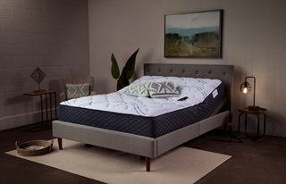 shop adjustable mattresses