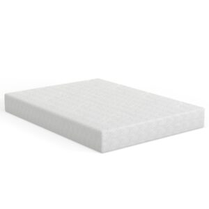 Chill BrrEase 8 inch memory foam mattress