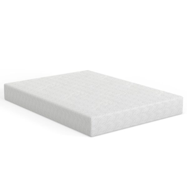 Chill BrrEase 8 inch memory foam mattress